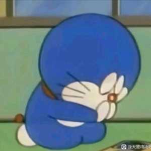 小白想问下在2k分辨率下是买4100的9070还是买4600