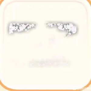 【收物】继续收一些熊