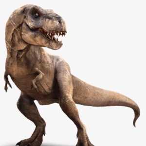 霸王龙是怎么成为恐龙中的顶流明星的？