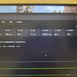 显卡占用率异常的高 没开游戏的状态下 还是99%