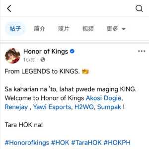 藤子钞能力，海外一诺将加入王者荣耀hok？