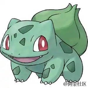 小智宝可梦打分