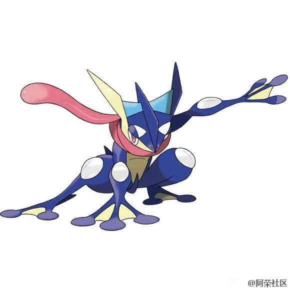 小智宝可梦打分