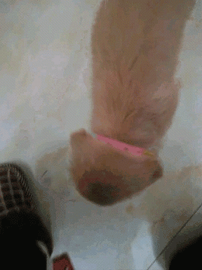 抖音刷到的逆天乐子