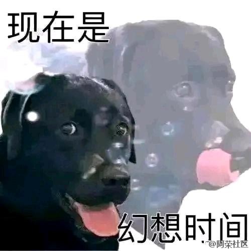 来点哈集美笑话