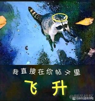 抖音逆天发言