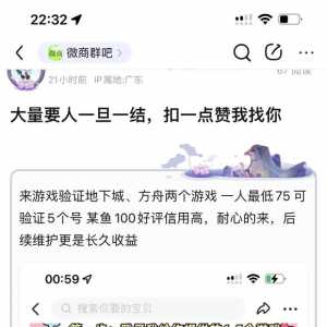 地下城，方舟游戏验证来人。 15一单 大量缺人，扣一点赞找你