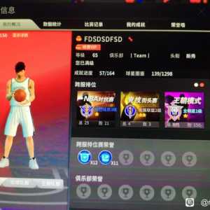 终于上全明星段位了