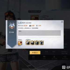 【和平精英ID】24-11-17V区明星兵团