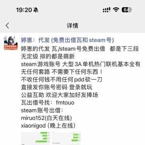 婷崽の代发/免费出租瓦/steam游戏号 无套路 真0元购！