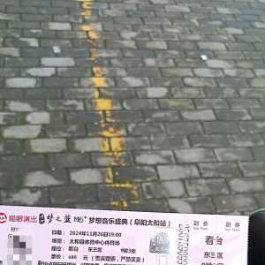 求收购洋河太和24年11月，26日演唱会明星的门票