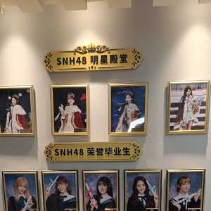 为什么只有袁一琦既进明星殿堂又有荣誉毕业生照