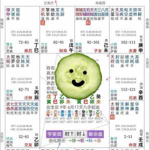 某男明星八字，有大师讲解一下吗