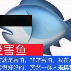 smch：你们要退游的赶紧退，爷不留你们了