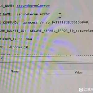 如图，三角洲蓝屏，securekrenelerrol