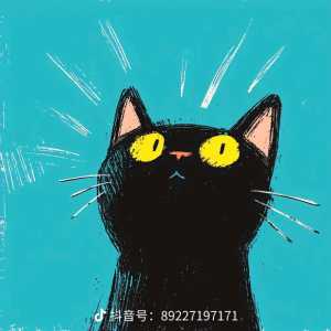 12月现在基本已经确定紫卡是pg表哥了，是不是得配个内线橙卡
