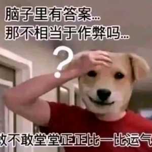 玩做披萨游戏头一次知道茄子算水果