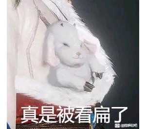 蹲个游戏搭子