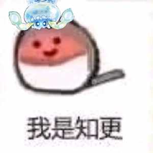 lz发字段翻译，大伙评分