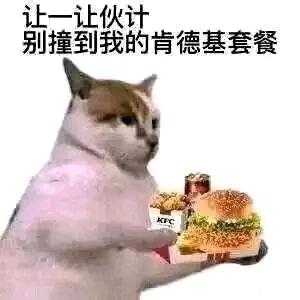 万能的吧友找一本书