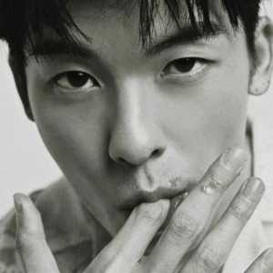 想搞个24年中国同志最喜爱男明星的排行，大家有什么提名吗？