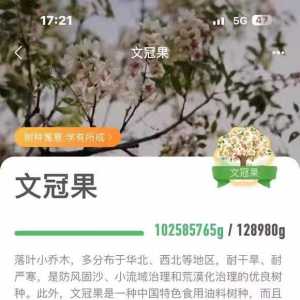 通辽文冠，老树?新区