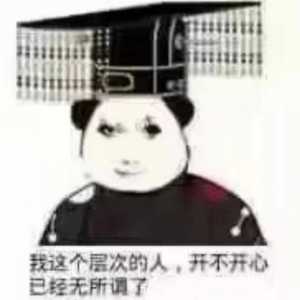【求助】请问真三8的游戏方式是怎么样的？个人传记吗？
