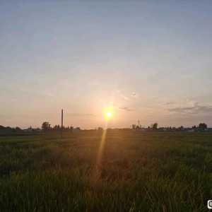 贴吧兄弟们，本人32岁了，纯小白，可以学ug编程入行吗？