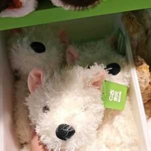 太难了，有新人教学贴吗