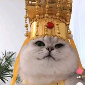 CBA全明星赛