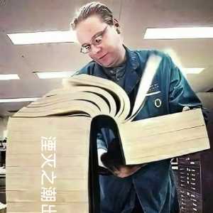 听某up说这游戏是这种类型