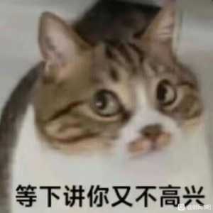 金价崩游戏就死？这什么沟漕理论？