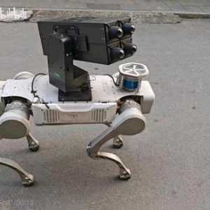 误杀3完全没有流量明星