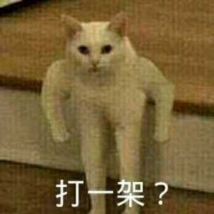 为什么会有20人本？