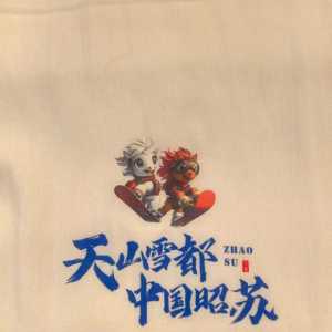 今天亲临昭苏天马冰雪节现场
偶遇一众明星大咖