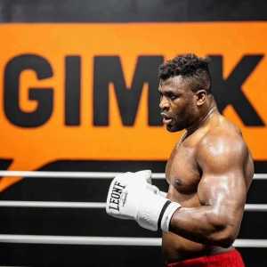 UFC部分明星选手实力分析