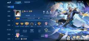 ???找游戏搭子，目前60星，无双贵10，649皮，皮肤已买