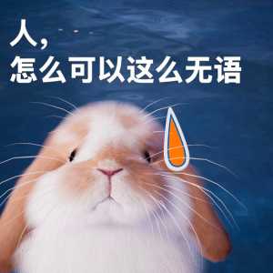 你没事吧某女明星