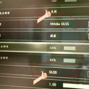 关了游戏在进去这俩dlss选项怎么就没有了
