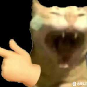 主播主播，你的awwbwg虽然很强势，但还是太依赖顺风局了