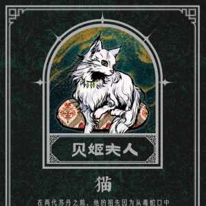 来给兔头搬点游戏