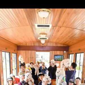 想体验完整游戏