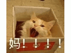 整理一下目前关于1.6角色的猜测