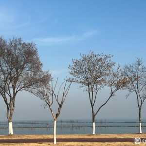 求问mac air 还是 pro？
