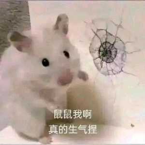 腾讯成功用三把游戏把我打退坑，我也要当个云玩家了