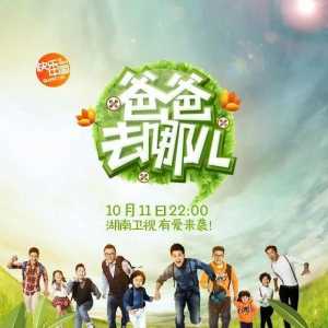爸爸去哪儿 第1季全集 高清版