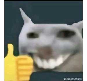 逆天超限，你要不直接出皮肤算了