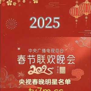 昨晚的央视春晚就这些明星么