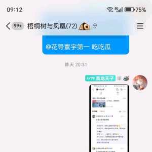 这正常鸣潮玩家的想法吧？（先叠甲）