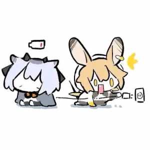 肉鸽糕手看过来